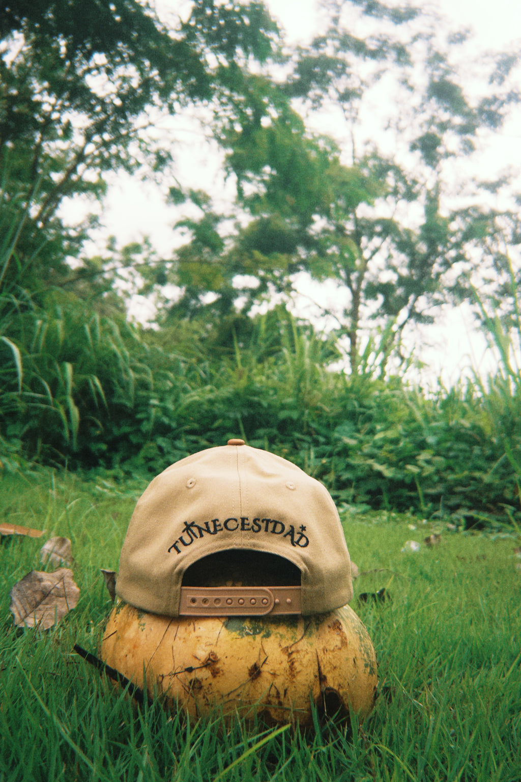 * ”TN” - Sacred Brew☕️✨