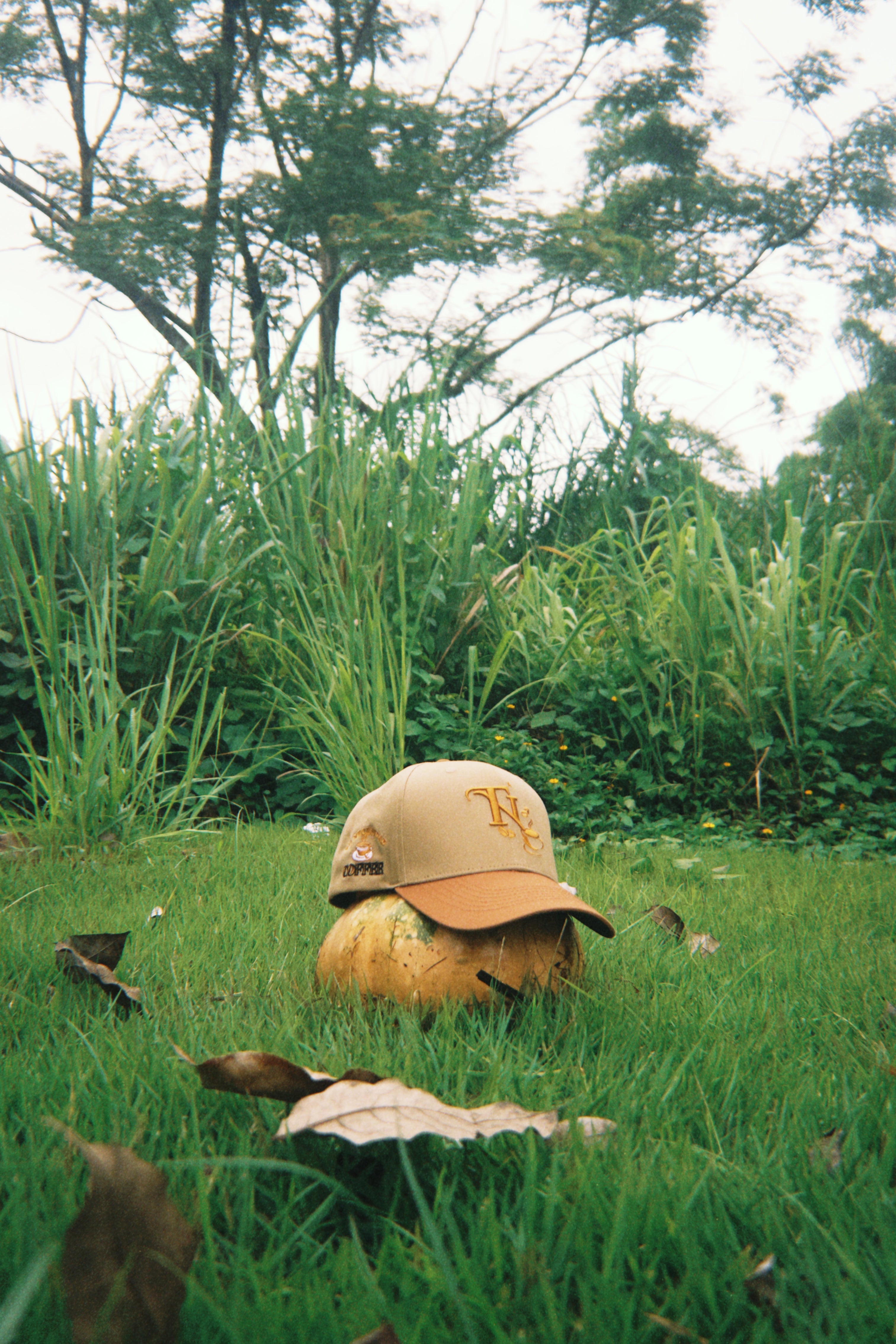 * ”TN” - Sacred Brew☕️✨