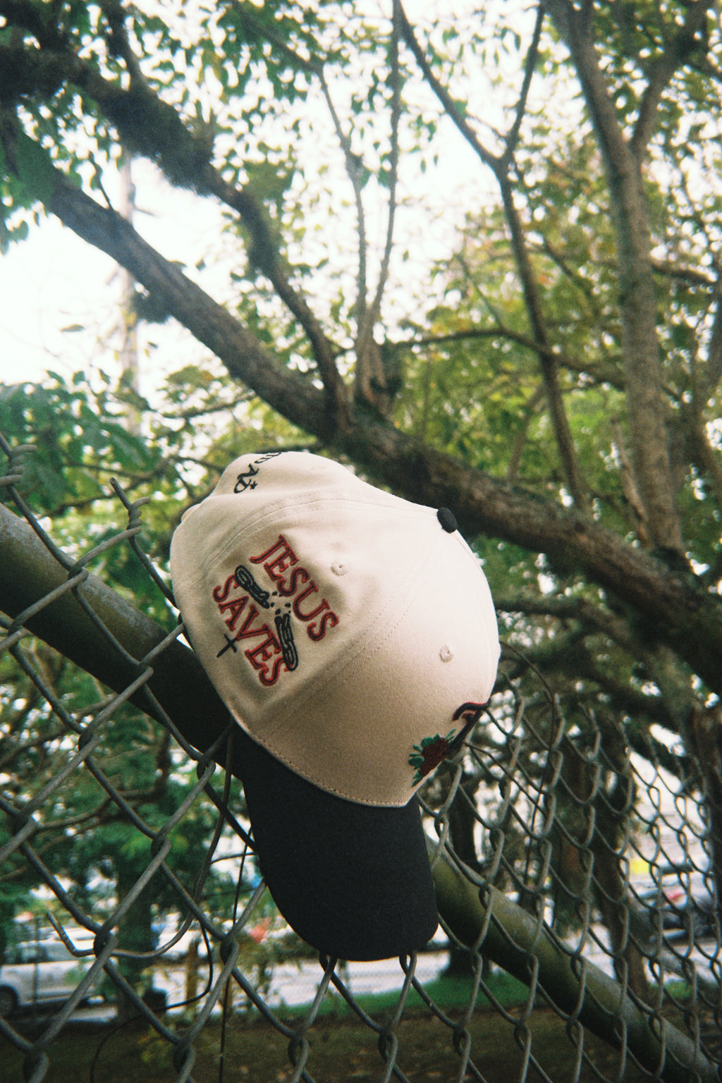 * ”TN” -Cross in Bloom ✝️ 🌹⛓️