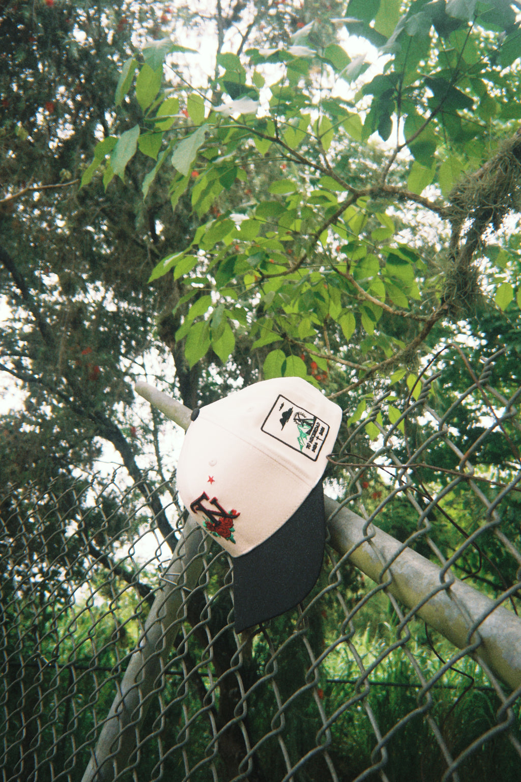 * ”TN” -Cross in Bloom ✝️ 🌹⛓️