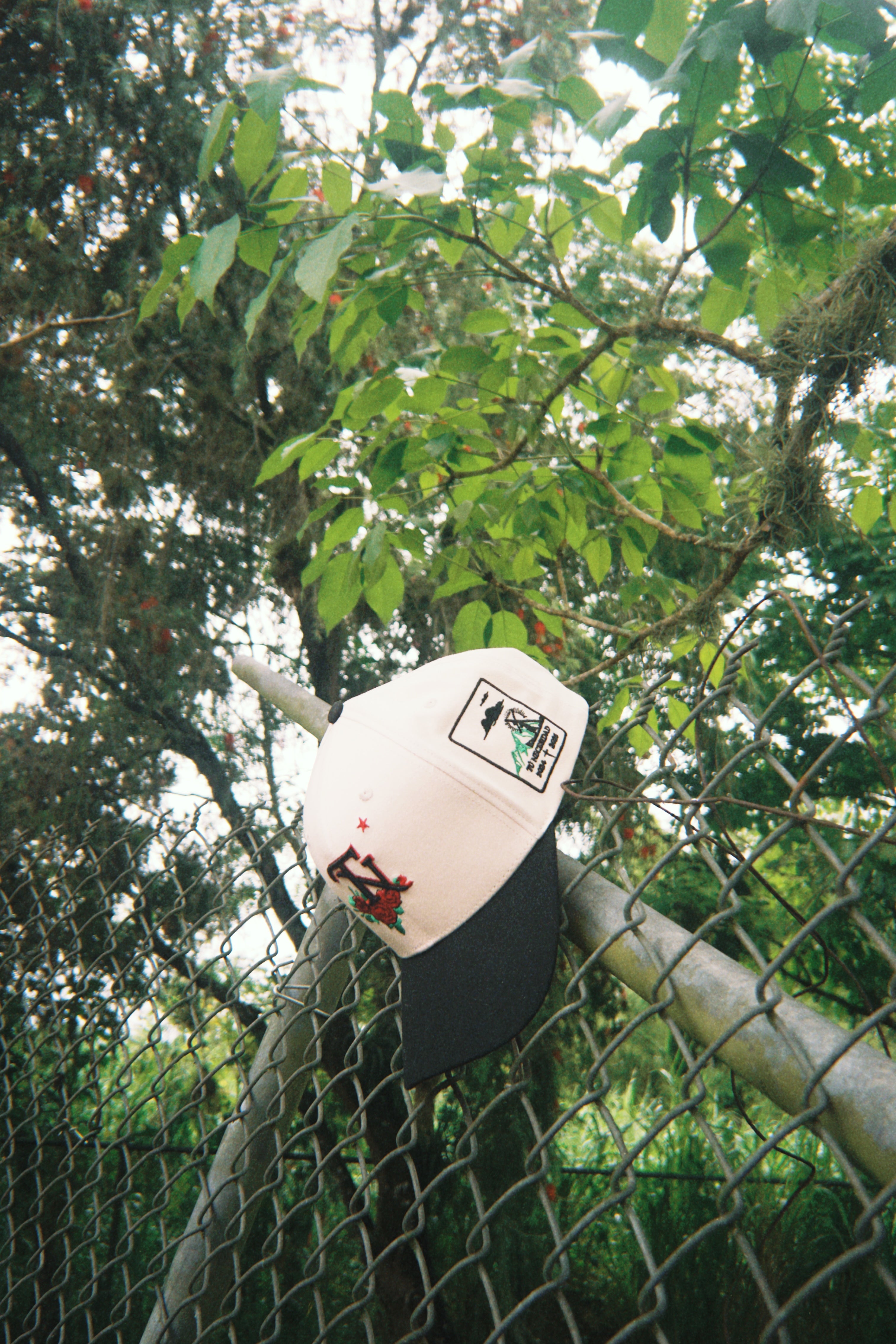 * ”TN” -Cross in Bloom ✝️ 🌹⛓️