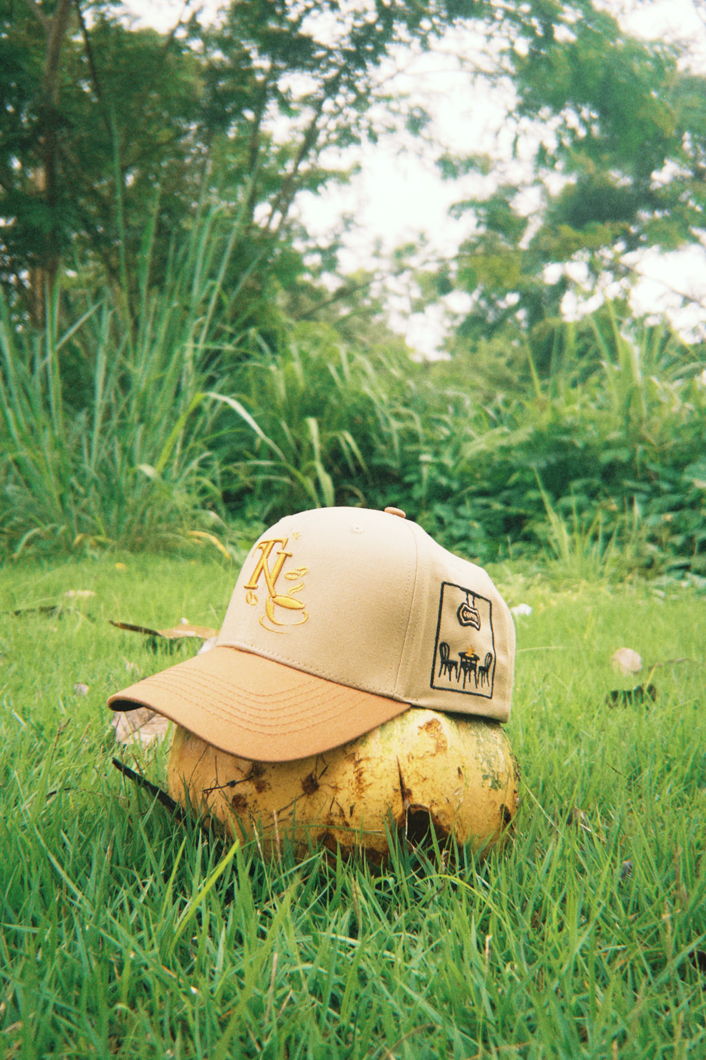 * ”TN” - Sacred Brew☕️✨