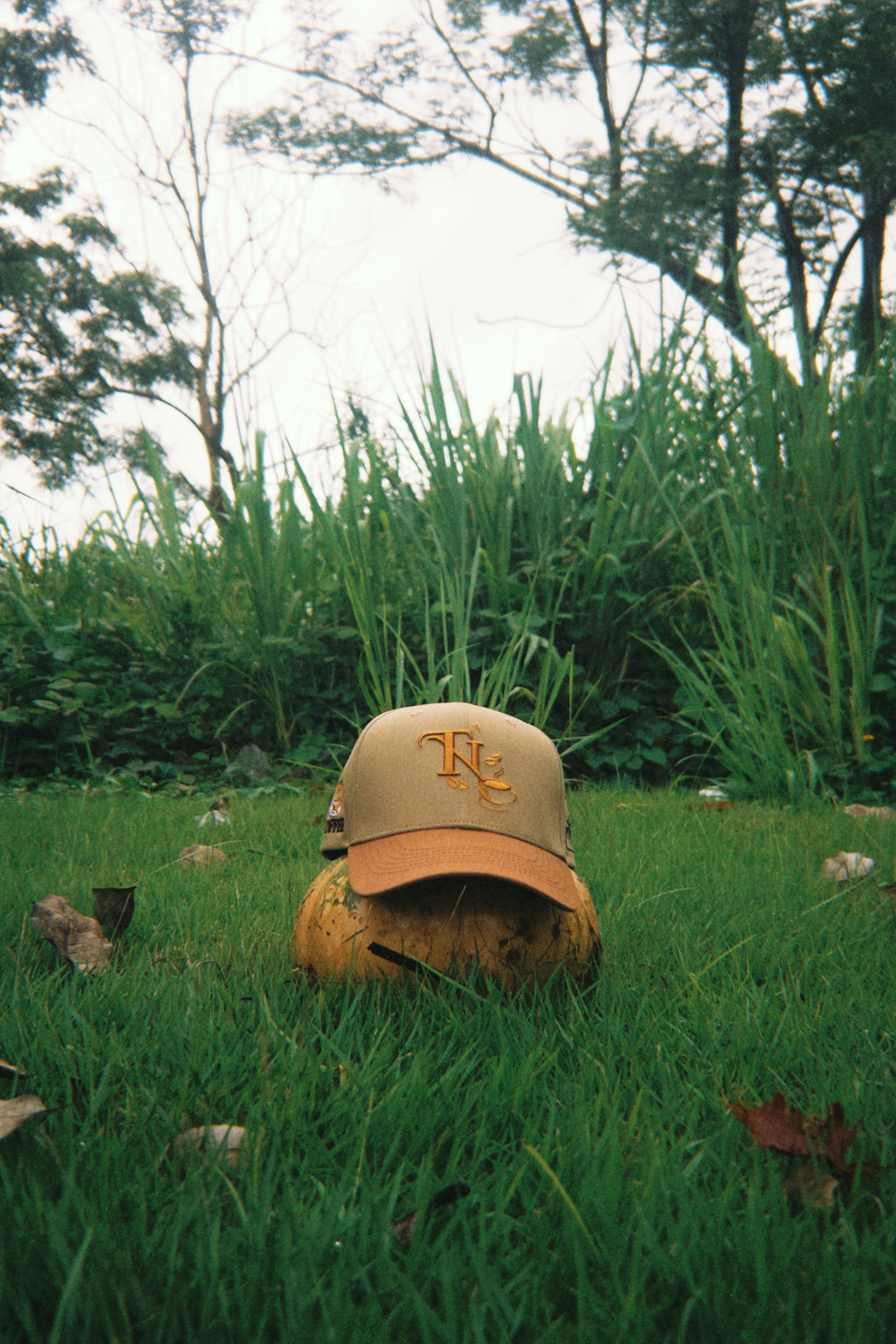 * ”TN” - Sacred Brew☕️✨