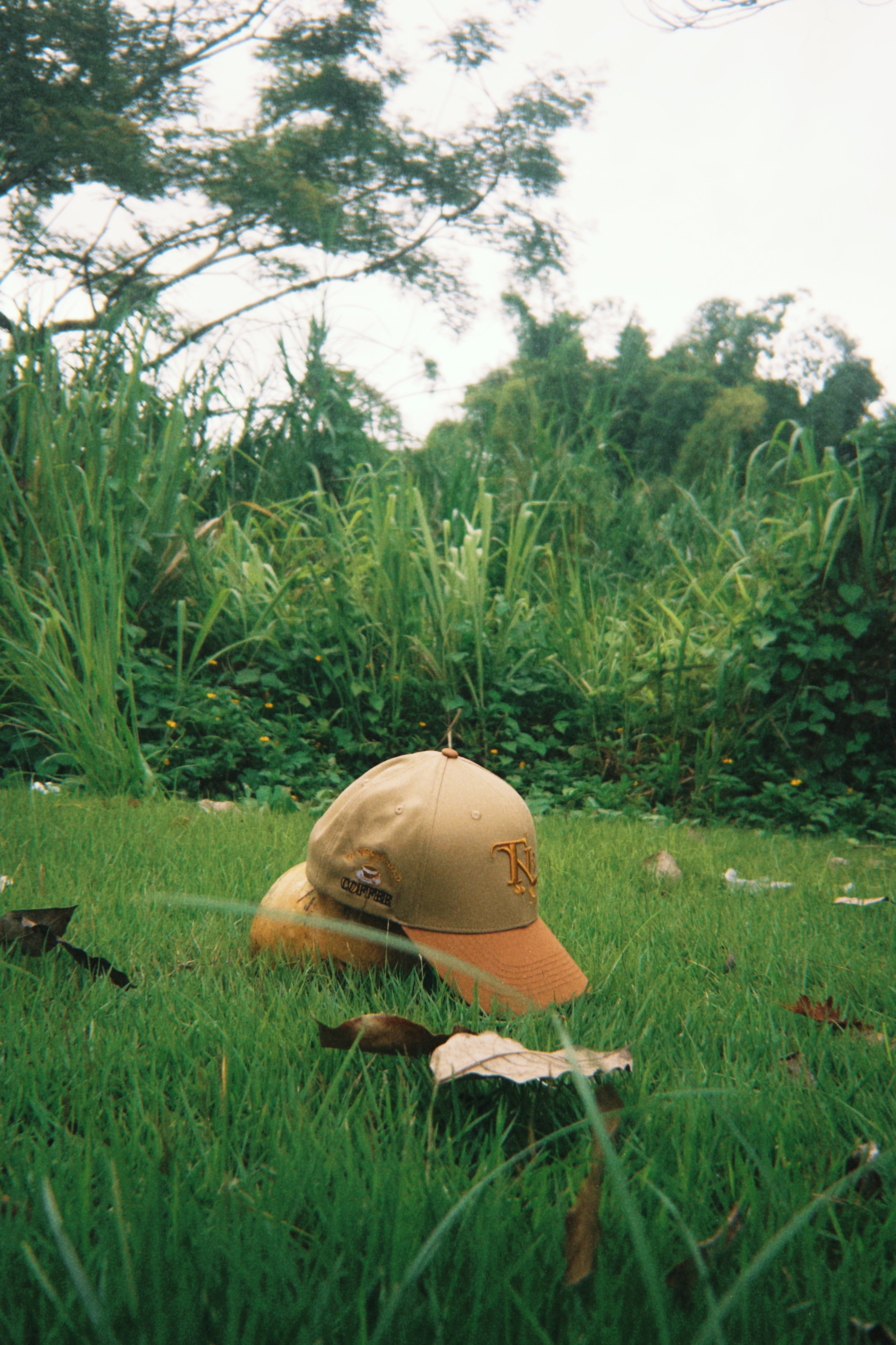 * ”TN” - Sacred Brew☕️✨