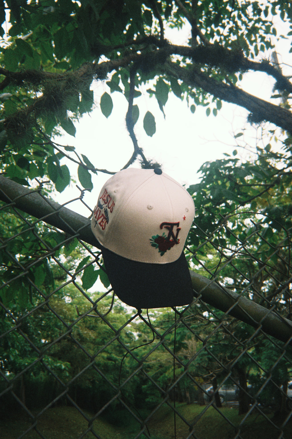 * ”TN” -Cross in Bloom ✝️ 🌹⛓️